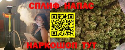гашик Янаул
