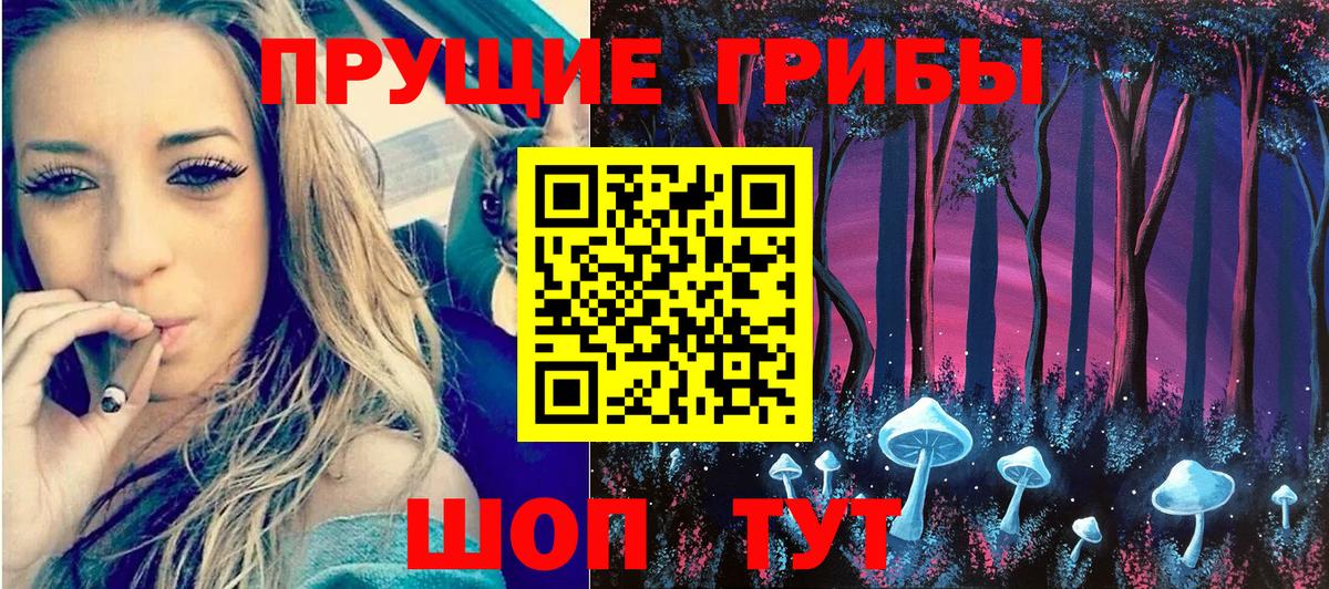 Прохладный  Галлюциногенные грибы прущие грибы  Вход с VPN 